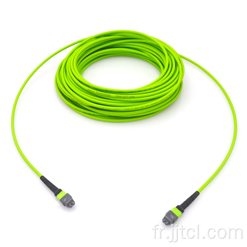 Câble de ligne MPO 12F 24F OM5 Lime 5,0 mm